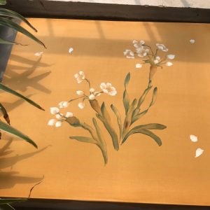 Áo dài lụa tơ tằm bôi nhiên