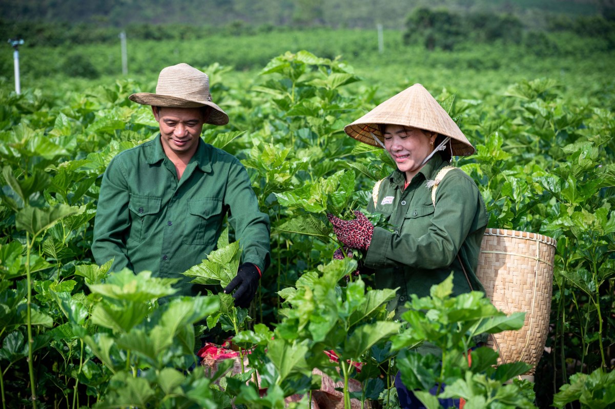 Áo dài lụa tơ tằm bôi nhiên